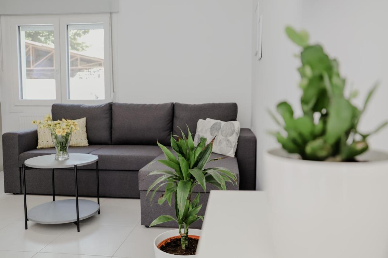 Apartament The Olive House Néa Péramos Zewnętrze zdjęcie