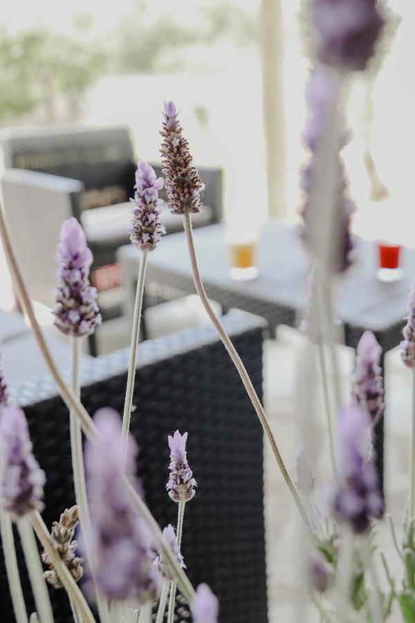 Apartament The Olive House Néa Péramos Zewnętrze zdjęcie